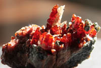 Essonite ; Hessonite