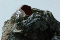 Zircone ; Zircon
